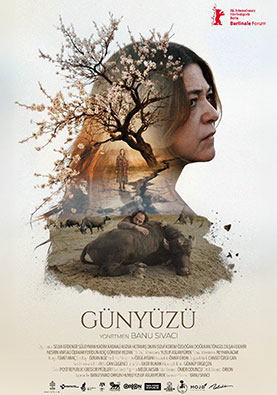 Günyüzü