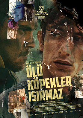 Ölü Köpekler Isırmaz